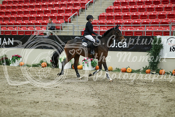 03029 - Mara - 2026 Royal West - Thursday October 22nd