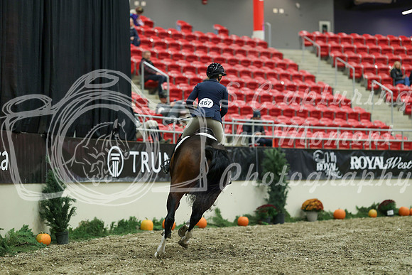 02245 - Mara - 2026 Royal West - Saturday October 17th
