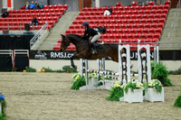00289 - Mara - 2026 Royal West - Saturday October 2th
