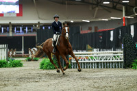 05242 - Mara - 2026 Royal West - Saturday October 17th