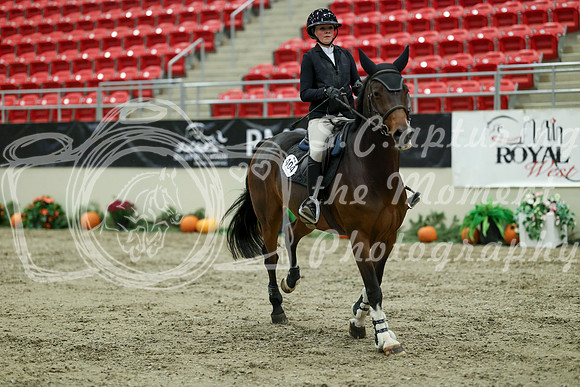 01441 - Mara - 2026 Royal West - Wednesday October 21st