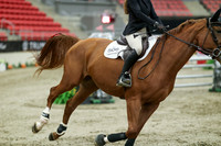 05705 - Mara - 2026 Royal West - Sunday October 18th