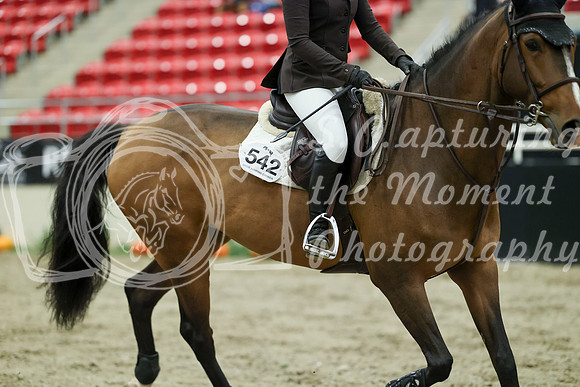 01060 - Mara - 2026 Royal West - Wednesday October 21st