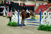 00018 - Mara - 2026 Royal West - Saturday October 2th