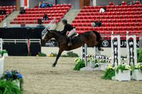 00292 - Mara - 2026 Royal West - Saturday October 2th