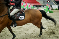 03916 - Mara - 2026 Royal West - Wednesday October 21st