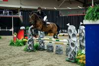 03309 - Mara - 2026 Royal West - Wednesday October 21st