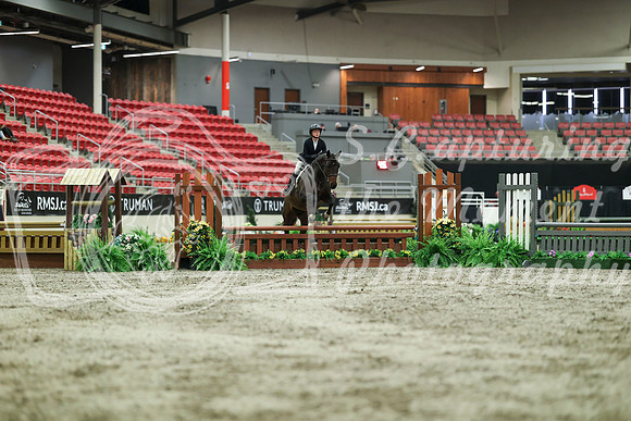 02196 - Mara - 2026 Royal West - Saturday October 17th