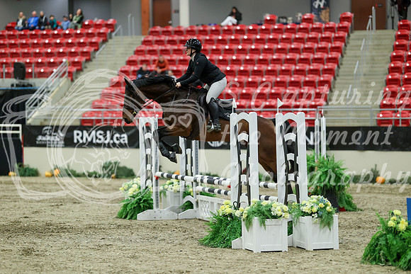 01136 - Mara - 2026 Royal West - Saturday October 2th