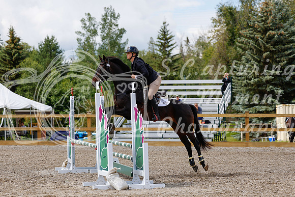 2025 - Haylee - Picco Horse Show - Sunday July 27th 03387