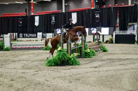 04051 - Mara - 2026 Royal West - Tuesday October 20th