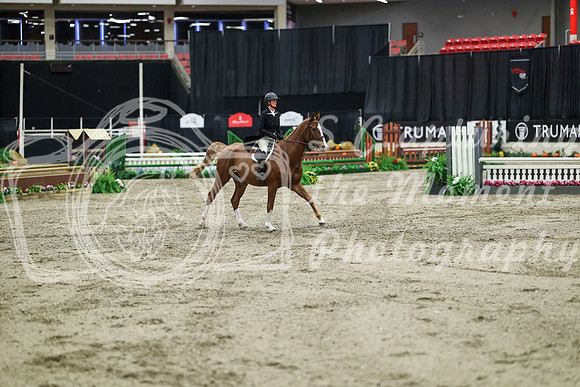 04043 - Mara - 2026 Royal West - Tuesday October 20th