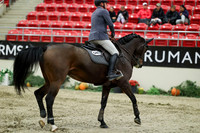 08239 - Mara - 2026 Royal West - Thursday October 22nd