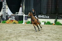 05017 - Mara - 2026 Royal West - Sunday October 18th
