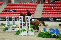 00846 - Mara - 2026 Royal West - Saturday October 2th