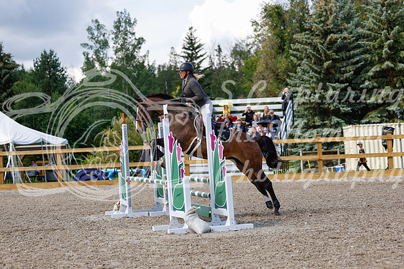 2025 - Haylee - Picco Horse Show - Sunday July 27th 02941