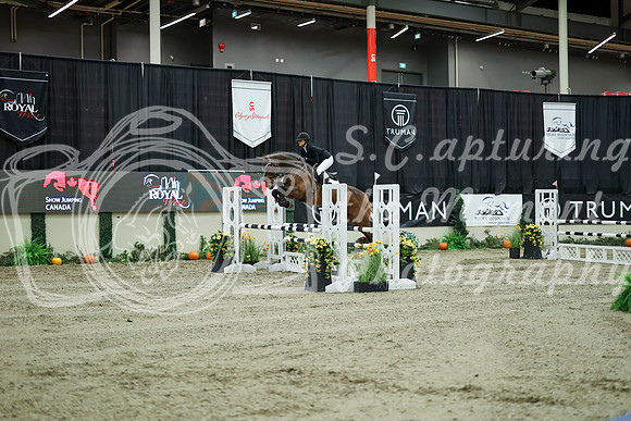 03317 - Mara - 2026 Royal West - Wednesday October 21st