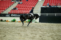 05568 - Mara - 2026 Royal West - Wednesday October 21st