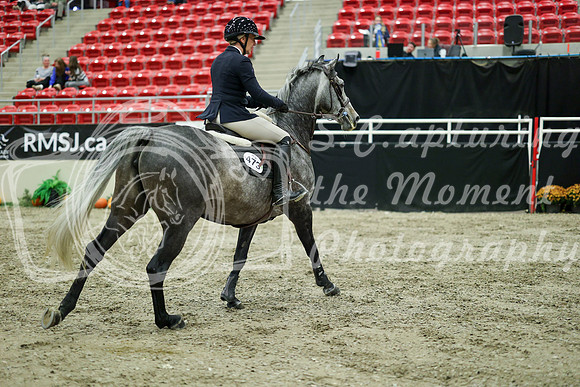 05365 - Mara - 2026 Royal West - Wednesday October 21st