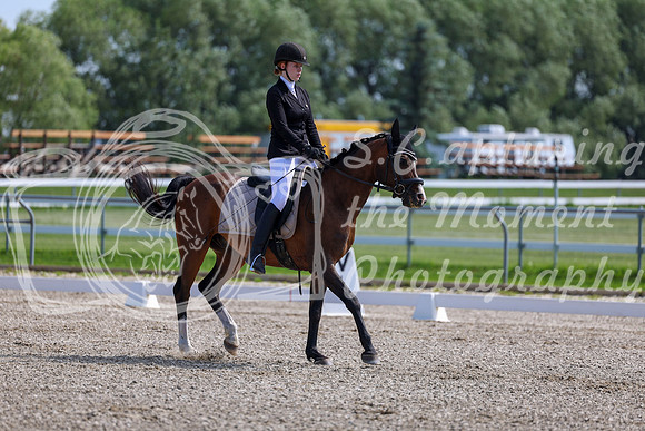 2025 - Dressage Festival - Saturday July 5th - 03099