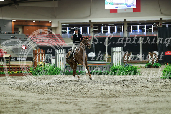 01806 - Mara - 2026 Royal West - Saturday October 17th