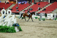 01455 - Mara - 2026 Royal West - Saturday October 2th