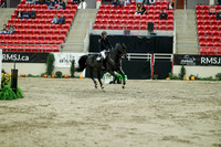 05008 - Mara - 2026 Royal West - Saturday October 24th