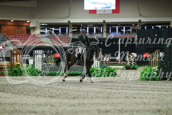 01190 - Mara - 2026 Royal West - Saturday October 17th