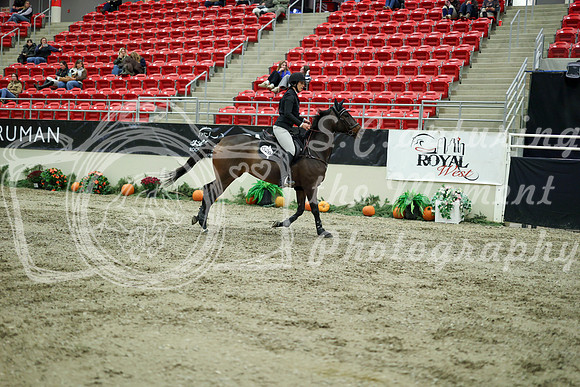 04425 - Mara - 2026 Royal West - Wednesday October 21st