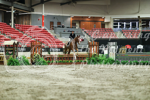 02396 - Mara - 2026 Royal West - Saturday October 17th