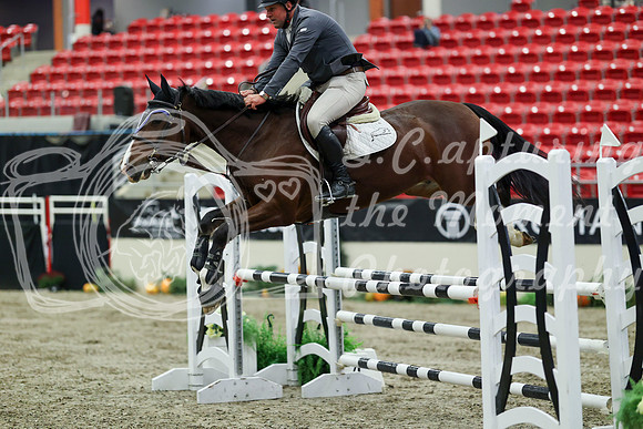 01176 - Mara - 2026 Royal West - Friday October 23rd