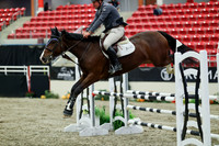 01177 - Mara - 2026 Royal West - Friday October 23rd