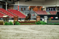 01541 - Mara - 2026 Royal West - Saturday October 17th