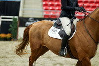 01216 - Mara - 2026 Royal West - Wednesday October 21st