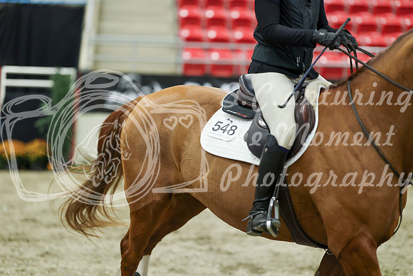 01216 - Mara - 2026 Royal West - Wednesday October 21st