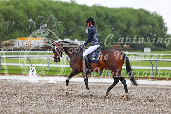 2025 - Dressage Festival - Sunday July 6th - 02289