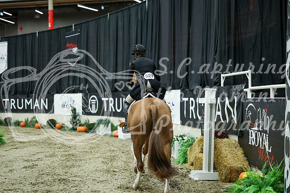 07193 - Mara - 2026 Royal West - Saturday October 17th