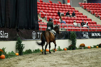 01539 - Mara - 2026 Royal West - Saturday October 17th