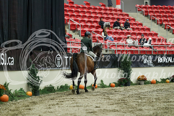 01539 - Mara - 2026 Royal West - Saturday October 17th
