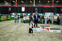 06485 - Mara - 2026 Royal West - Saturday October 17th