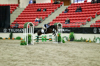01260 - Mara - 2026 Royal West - Wednesday October 21st