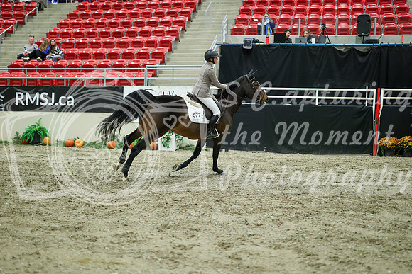 05407 - Mara - 2026 Royal West - Wednesday October 21st