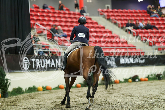04977 - Mara - 2026 Royal West - Saturday October 17th