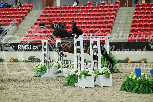 01026 - Mara - 2026 Royal West - Saturday October 2th