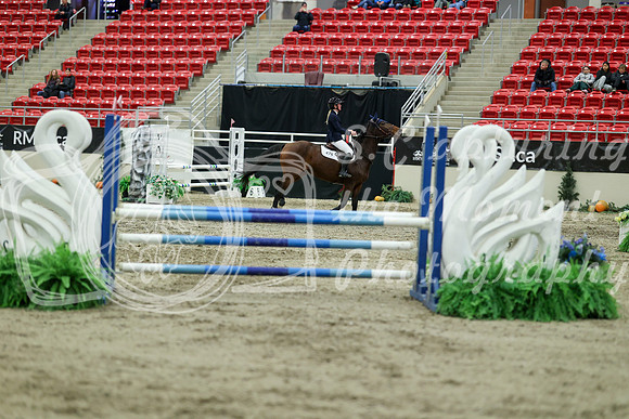 00738 - Mara - 2026 Royal West - Saturday October 2th