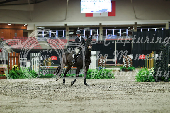 01450 - Mara - 2026 Royal West - Saturday October 17th