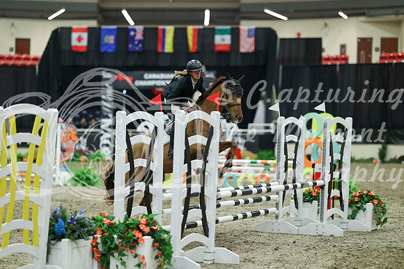 02530 - Mara - 2026 Royal West - Thursday October 15th