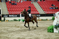 06017 - Mara - 2026 Royal West - Saturday October 24th