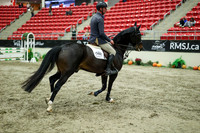 05196 - Mara - 2026 Royal West - Wednesday October 21st