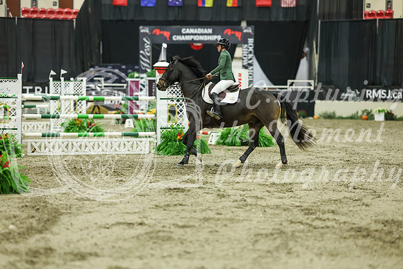 09816 - Shea - 2026 Royal West - Thursday October 22nd
